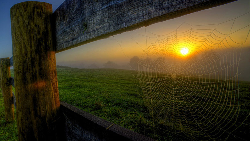 草原 牧场木栏杆 蜘蛛网夕阳 壁纸