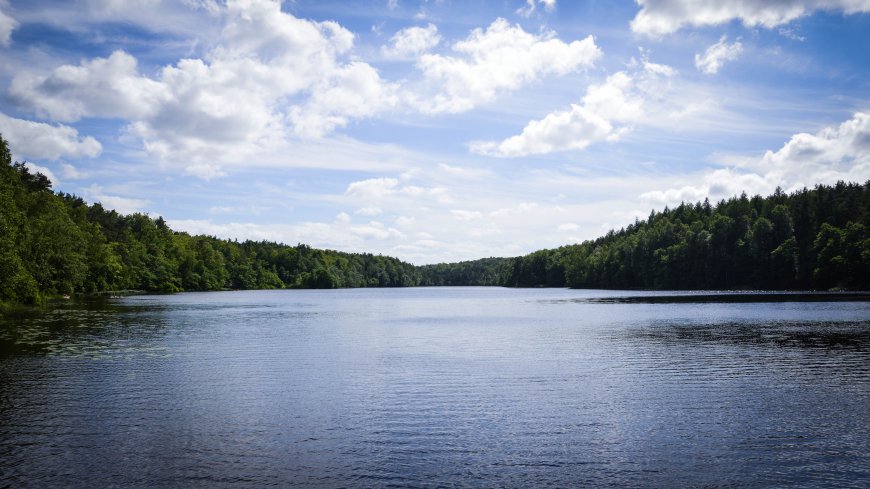 唯美森林湖泊4K风景壁纸