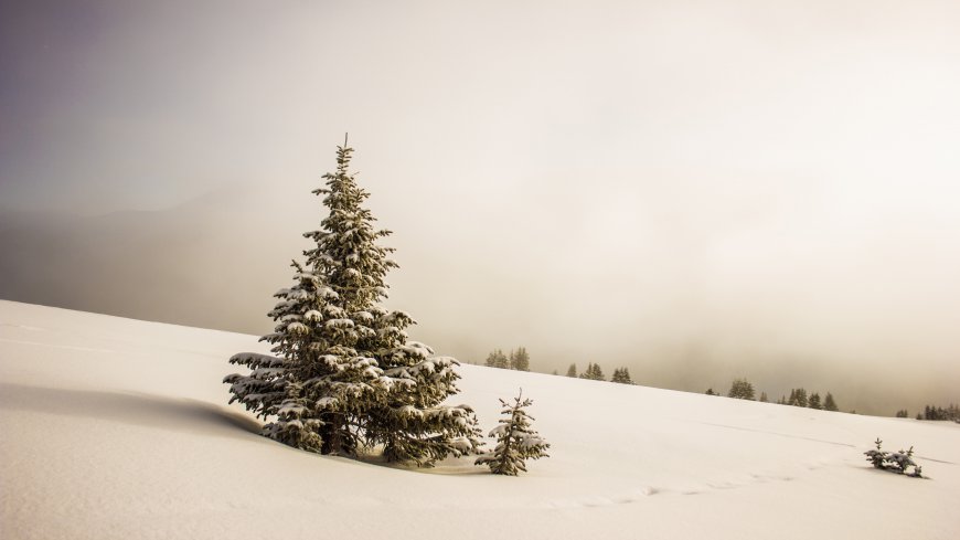 高山雪原大自然风景壁纸4K超清壁纸