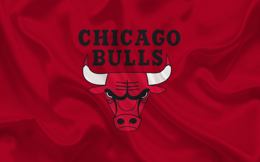 芝加哥公牛队队徽图片壁纸
