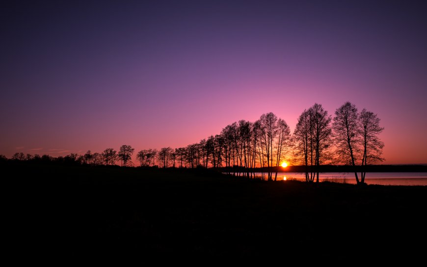 唯美夕阳河畔树木风景图片壁纸
