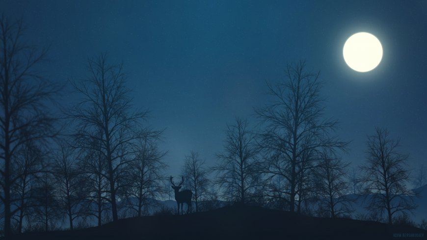 森林 鹿 明月风景壁纸