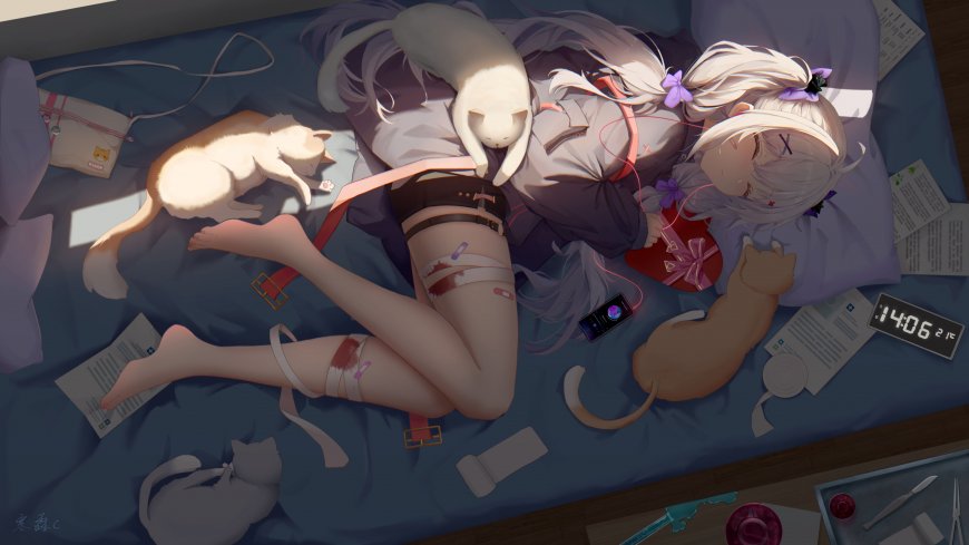 侧躺在床上睡觉的二次元可爱动漫少女和她的猫咪 壁纸 